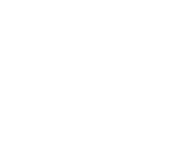 RAMTEX